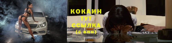 индика Сясьстрой
