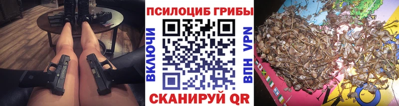 Галлюциногенные грибы MAGIC MUSHROOMS  где найти наркотики  Кирово-Чепецк 